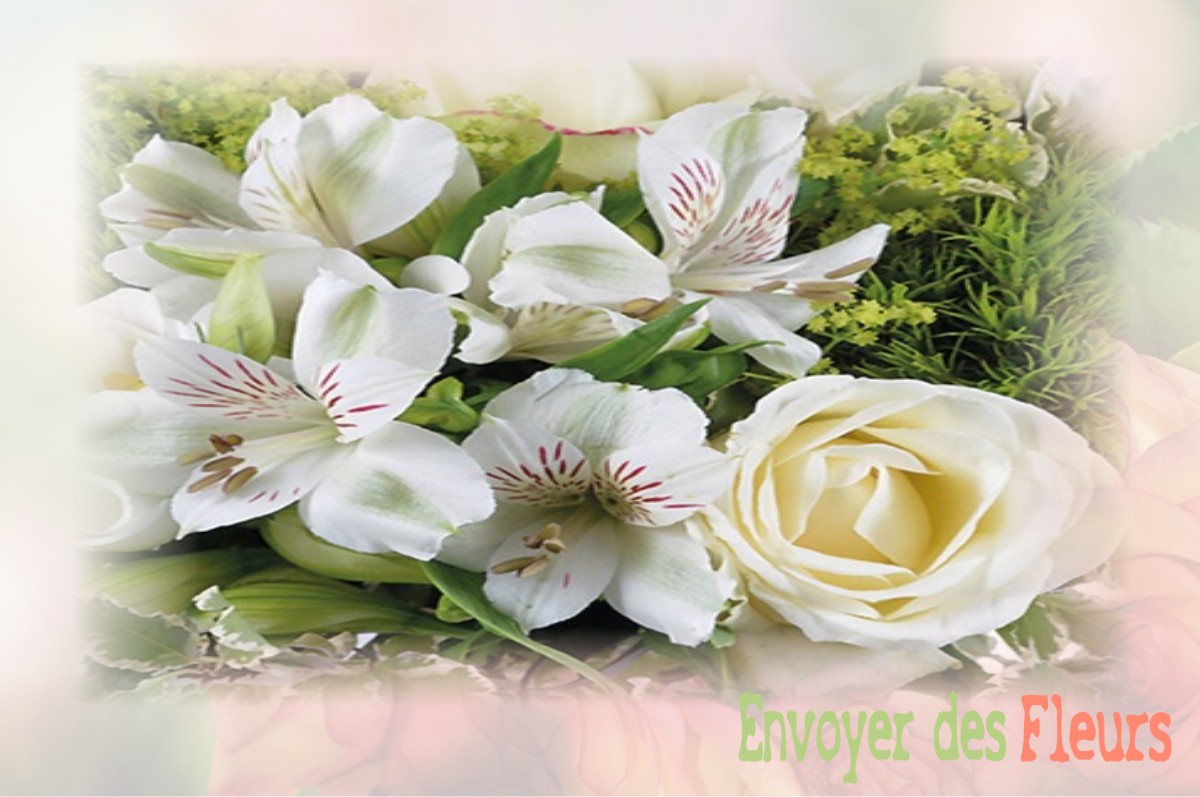 envoyer des fleurs à à VILLES-SUR-AUZON